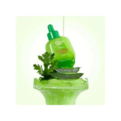 EQQUAL BERRY Green Aid Aloe PDRN Calming Serum 30ml